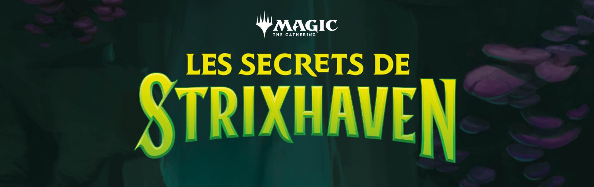 ASM_BANNER-1900x600-TCG-MTG-SOS-FR